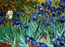 EuroGraphics Irises by Vincent Van Gogh Puzzle (1000-Piece) (6000-4364)
