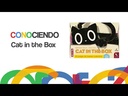 Cat in the Box