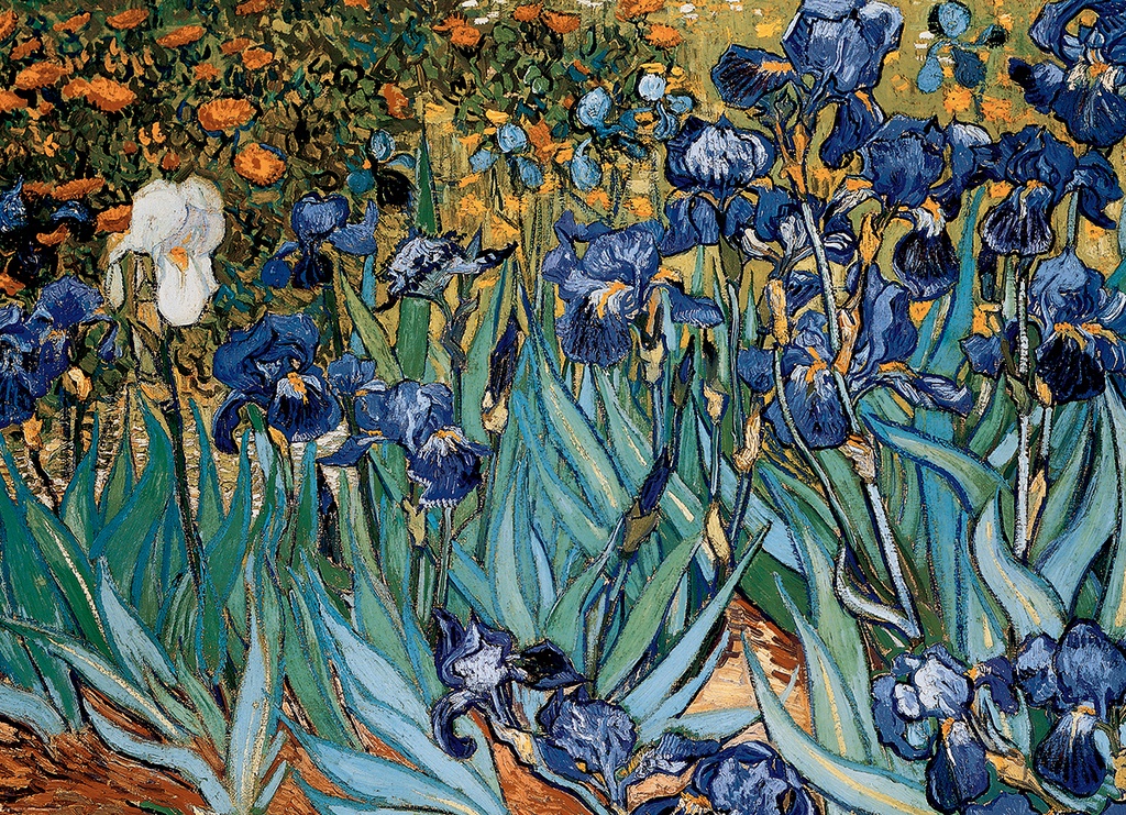 Irises by Vincent Van Gogh Puzzle